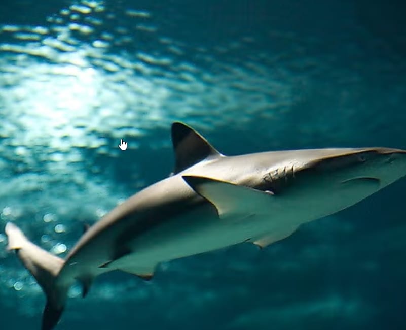 2024-03-27 18_46_12-Window