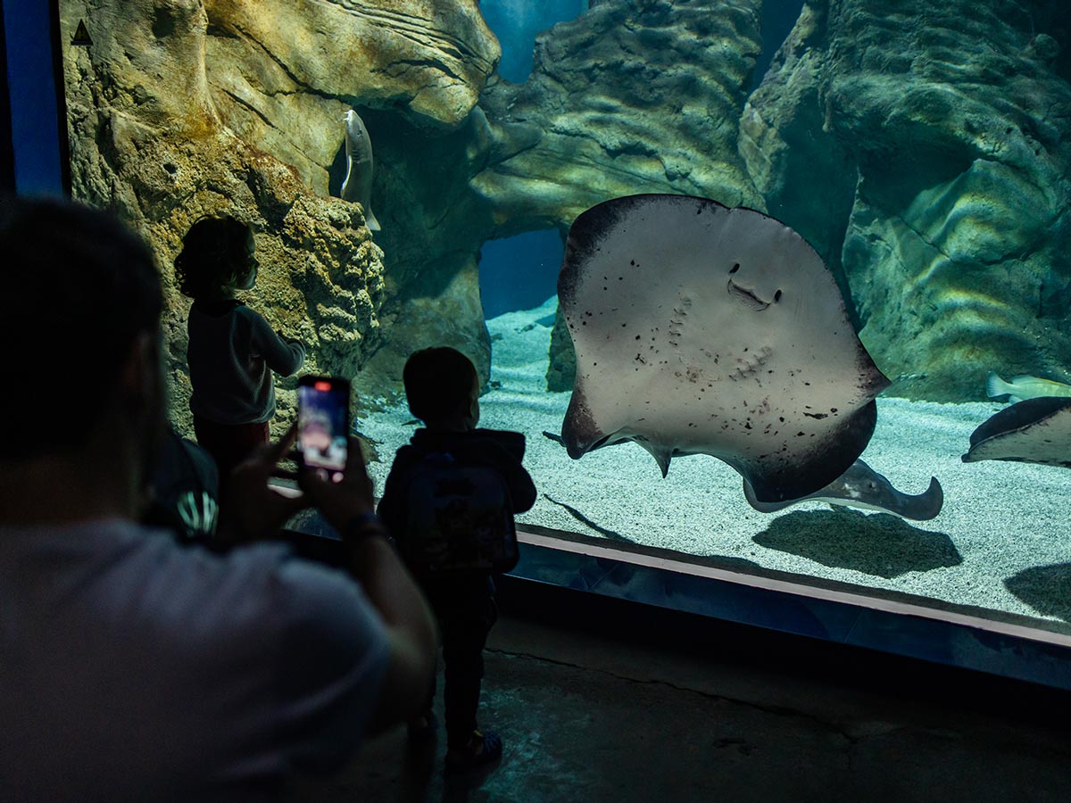 b4ee1b85-1e33-46af-87c8-5e94c6b7ad60